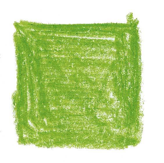 Color-Giants Colored Pencils