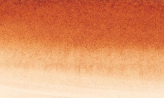 Sennelier Drawing Ink - 1oz Bottles