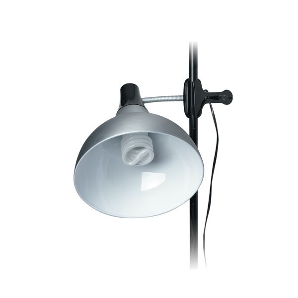 Artist Clip On Studio Lamp Rileystreet Art Supply