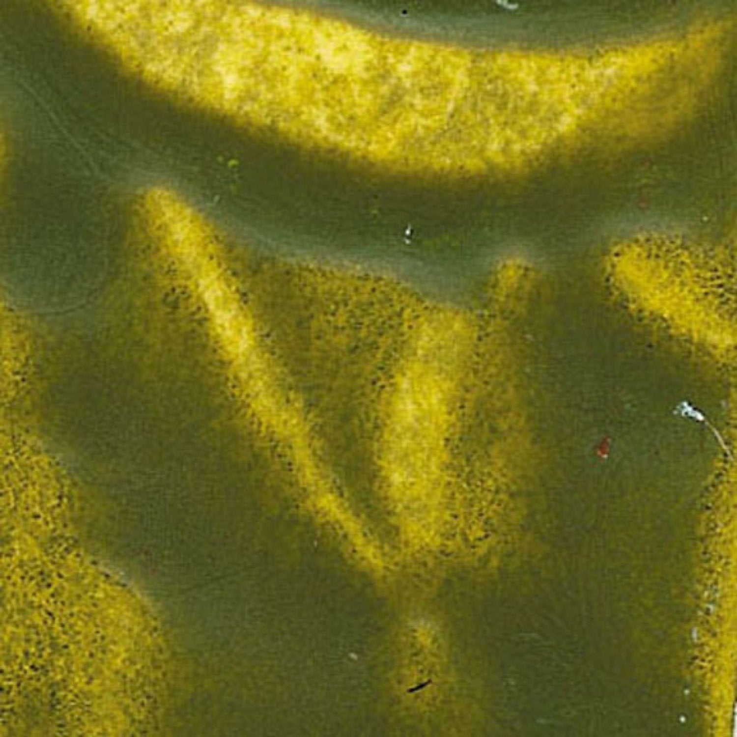 Encaustic Paints - 104ml Bar