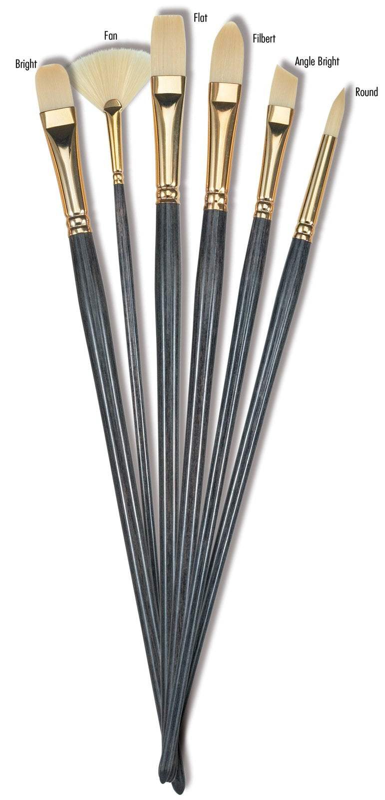 Princeton Dakota Synthetic Hog Bristle Brushes