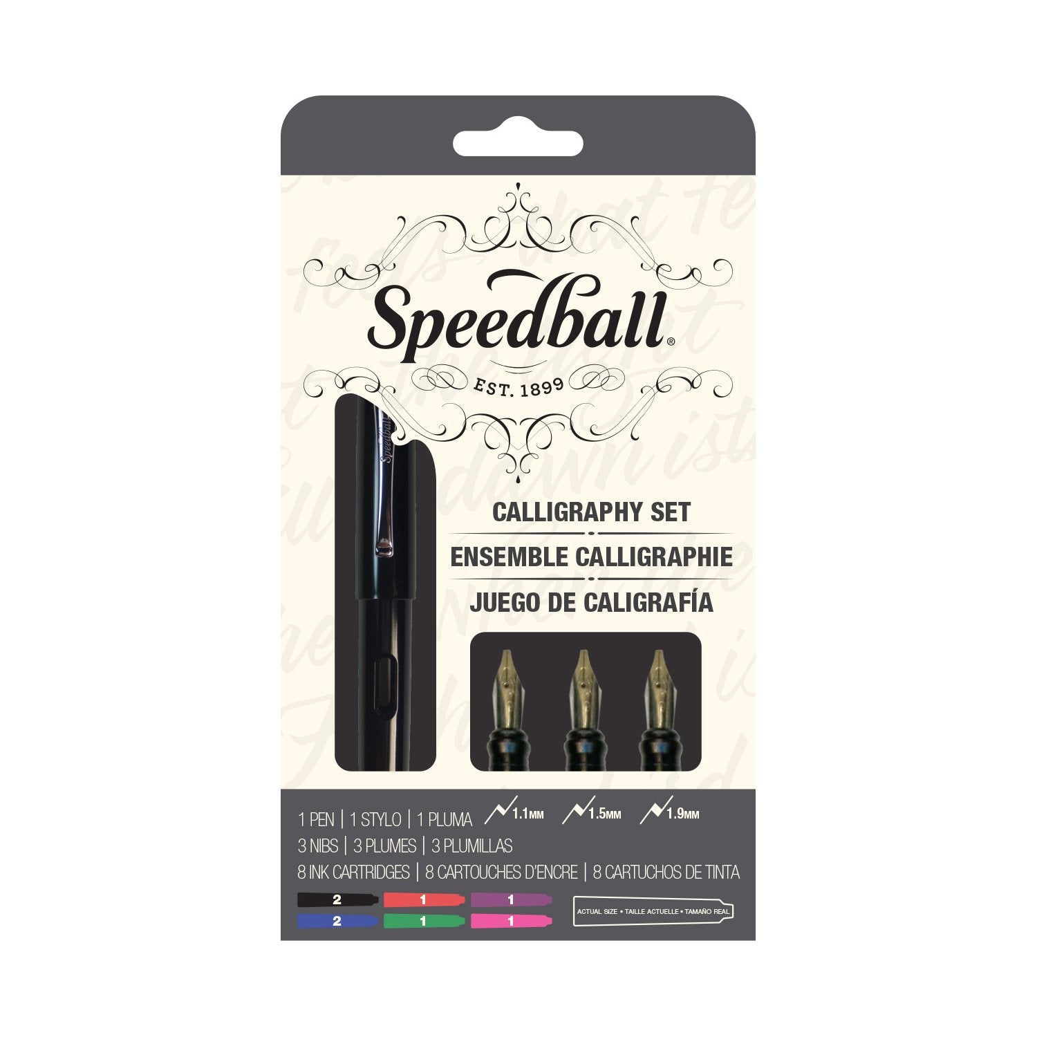 Calligraphy Fountain Pen set