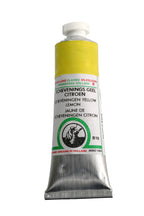 Old Holland Classic Oil Colors - 40ml Tubes