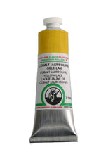 Old Holland Classic Oil Colors - 40ml Tubes