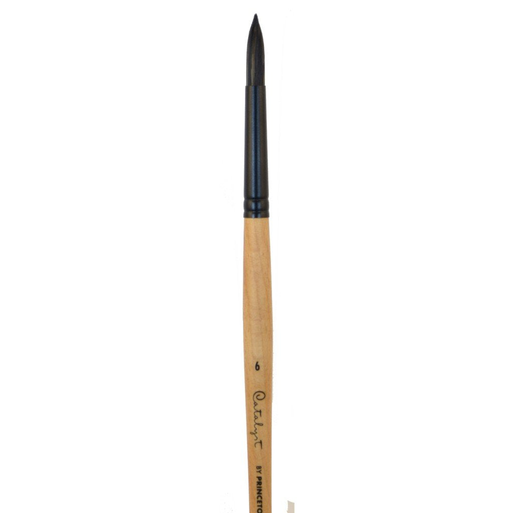 Princeton Catalyst Polytip Bristle Brushes