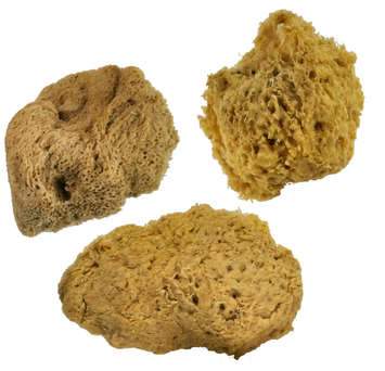 Sea Sponges Wool 3 Pack