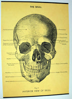 Italian Poster Papers