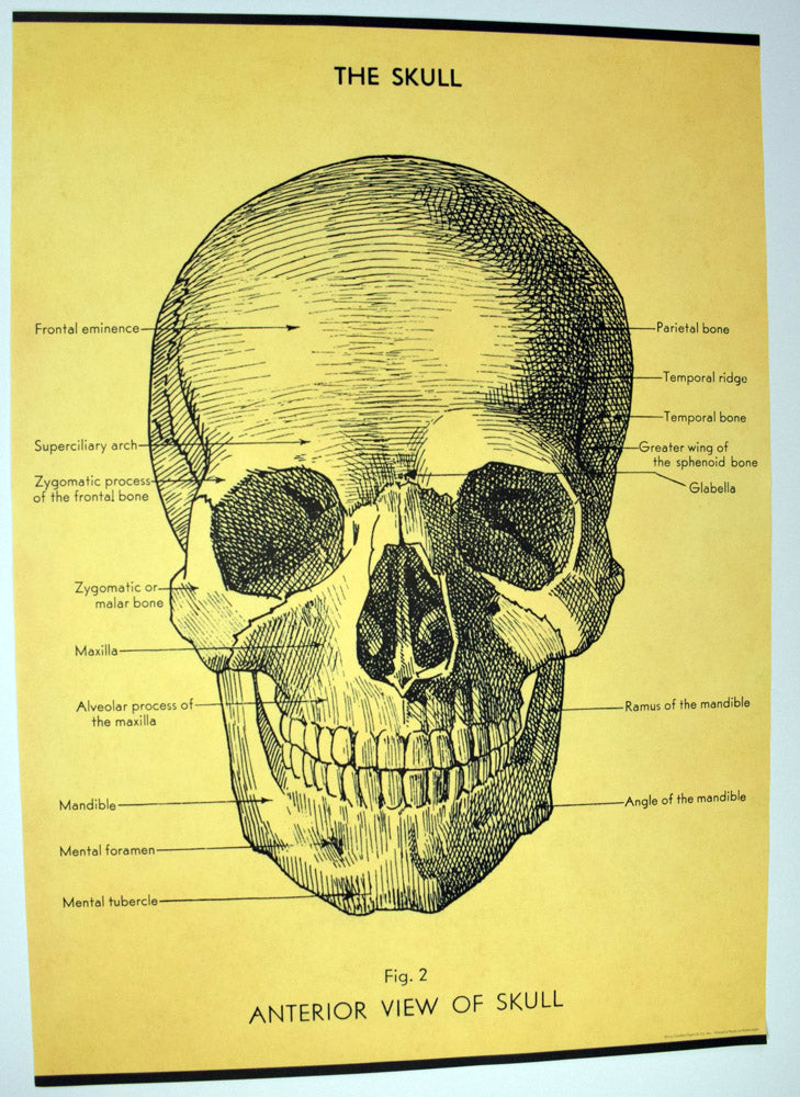 Italian Poster Papers