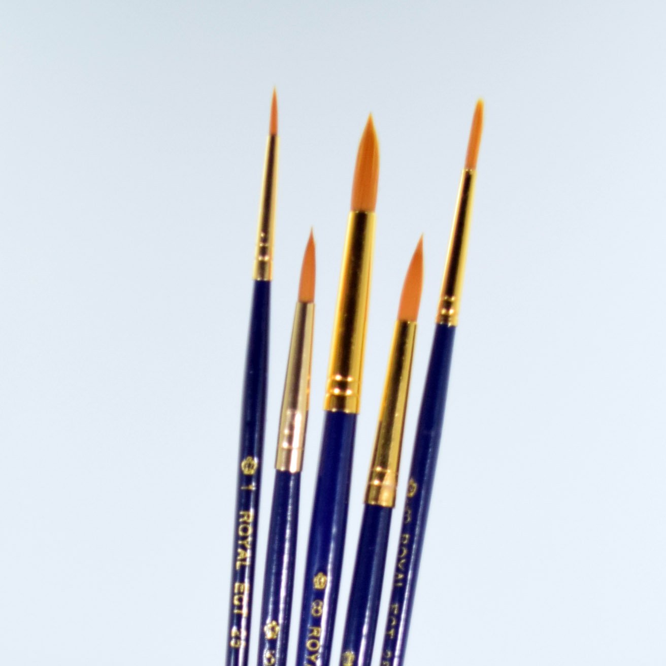 School Grade Golden Taklon Round Brushes